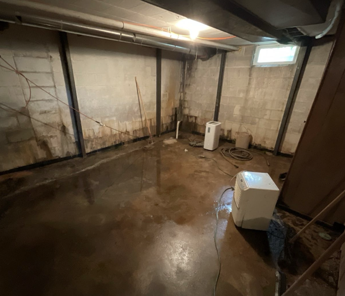 Basement effected by mold